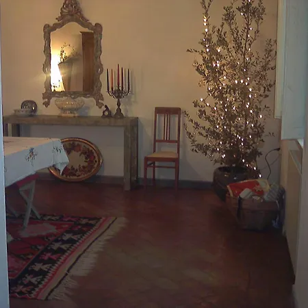 Panicucci Livorno