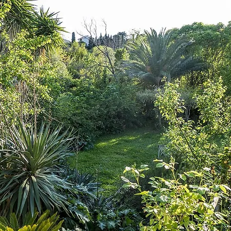 Bed & Breakfast Panicucci