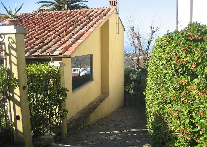 Panicucci Livorno