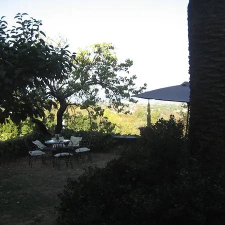 Panicucci