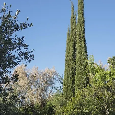 Panicucci Отель типа 